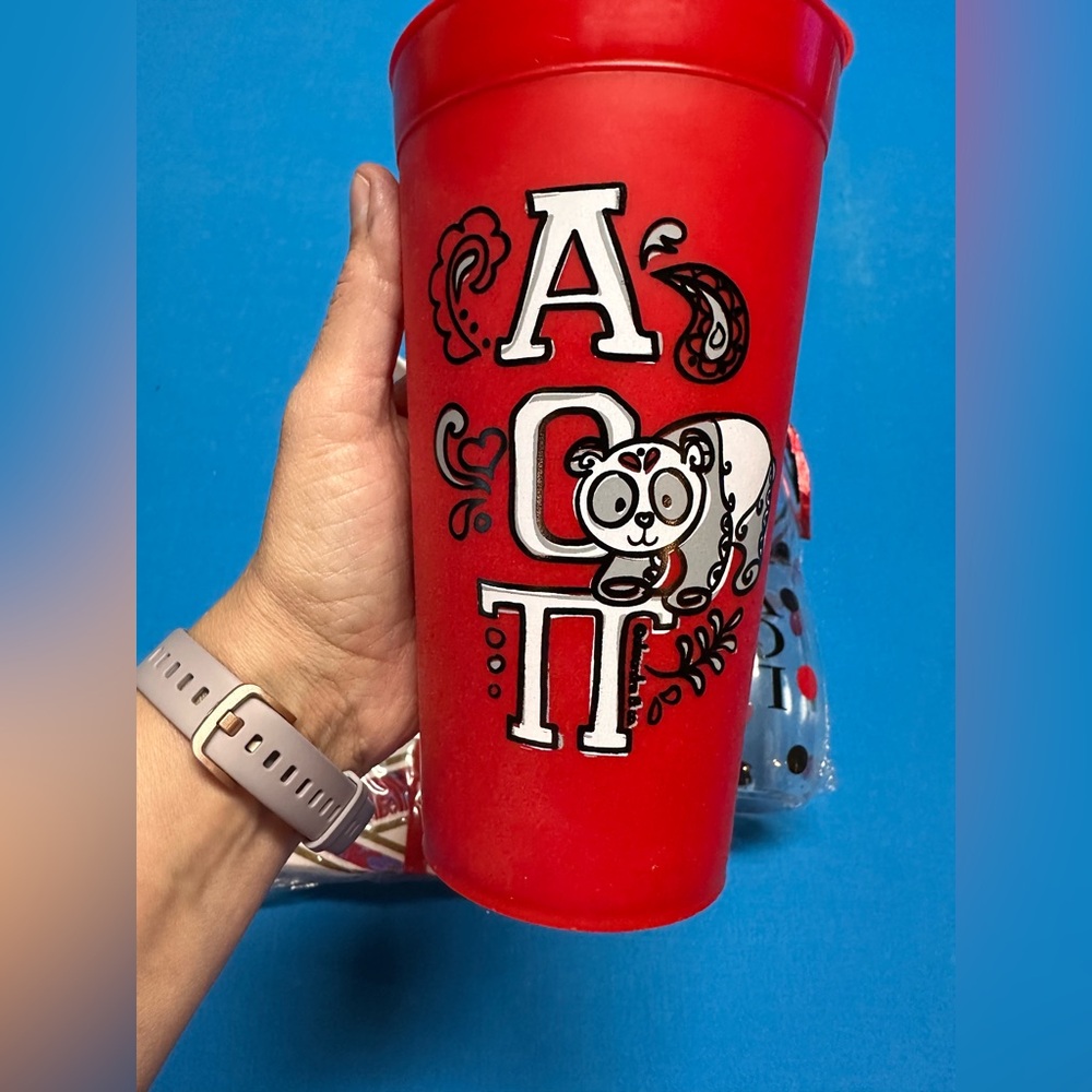 NWT Alpha Omicron Pi Gift Bundle - Picture 4 of 12